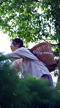 Today I plucked hemp from the field and after coming home, mixed it with meat and prepared a very tasty meal.