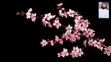 القران الكريم بصوت خاشع يبكي العين