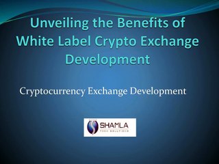 Trusted Crypto Exchange Development Company
