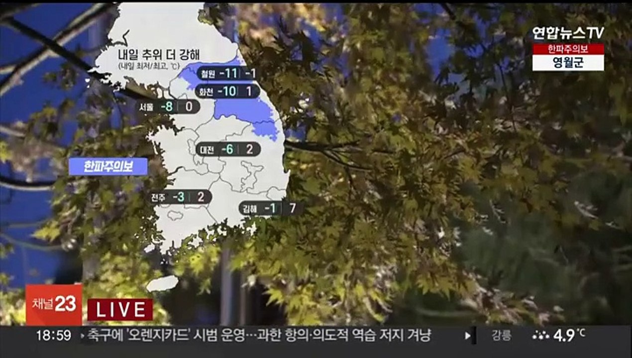 [날씨] 한파특보 확대…내일 출근길 서울 체감 영하 14도