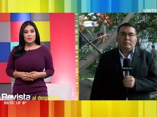 Caída de un árbol deja sin energía eléctrica a toda una zona en Cochabamba