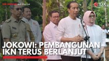 Jokowi: Pembangunan IKN Terus Berlanjut