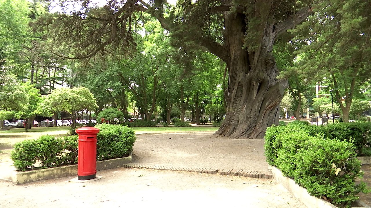 A PREPARAR LA CARTA PARA PAPÁ NOEL!