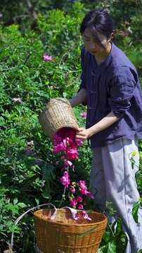 Today I plucked a lot of lotus flowers and after coming home, cooked a very delicious meal.