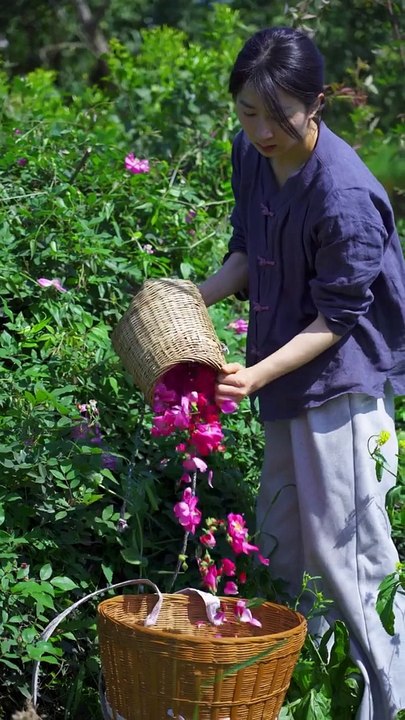 Today I plucked a lot of lotus flowers and after coming home, cooked a very delicious meal.