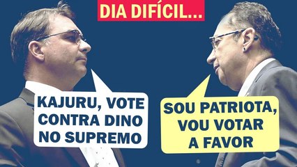 IRRITADÍSSIMOS: "DEUS NOS LIVRE AGUENTAR FLÁVIO DINO NO STF ATÉ 2046", DIZ BOLSONARISTA | Cortes 247