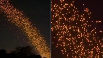 Floating lanterns form mesmerising stream of lights during Thai festival