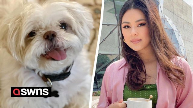 Woman who believes her pet died of a new mysterious dog illness warn owners to avoid doggie parks