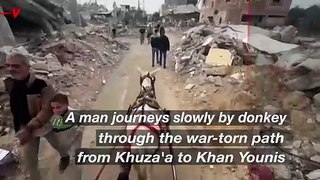 Donkey Journeys Through Gaza’s War-Torn Landscape Shows Extent of Destruction