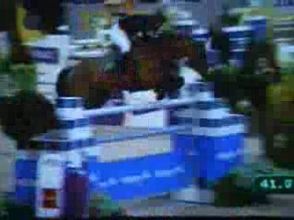 Etapecoupedumonde 004