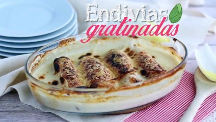 Endivias envueltas en jamón york gratinadas