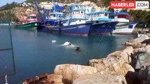 Samandağ'da batan balıkçı teknesi vinçle karaya çıkarıldı