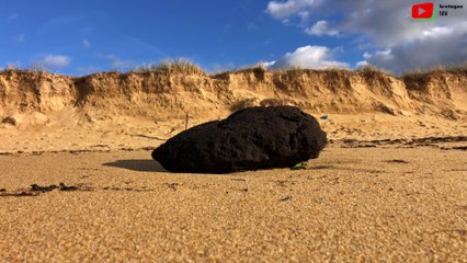 Erdeven  |  La dune des naturistes dévorée   |  Bretagne Télé