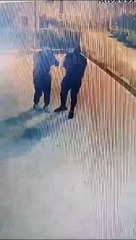 Furti a Rogliano, il video dei ladri