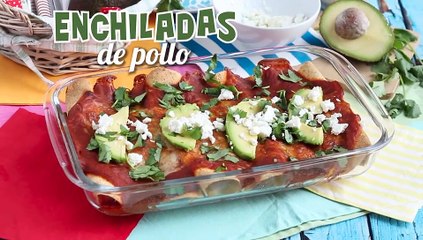 Enchiladas de pollo con salsa de chili