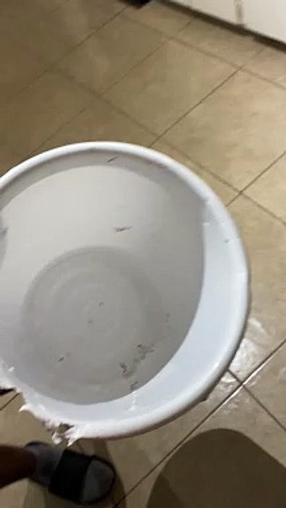 Dog Snitches Over Destroyed Bucket