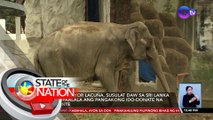 Manila Zoo Chief Vet: Congestive Heart Failure ang ikinamatay ng elepanteng si Maali | SONA