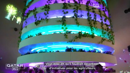 Expo 2023 Doha : rendre les déserts plus verts
