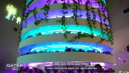 Expo 2023 Doha: trabajar juntos para que los desiertos sean más verdes