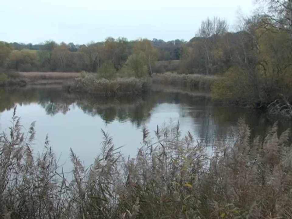 Flâneries entre étang et forêt de Haute-Jarrie 38(560