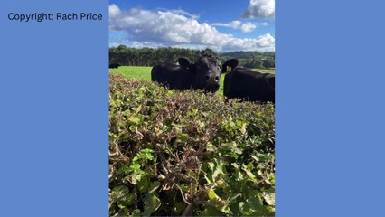 Picture This: Animals out and about