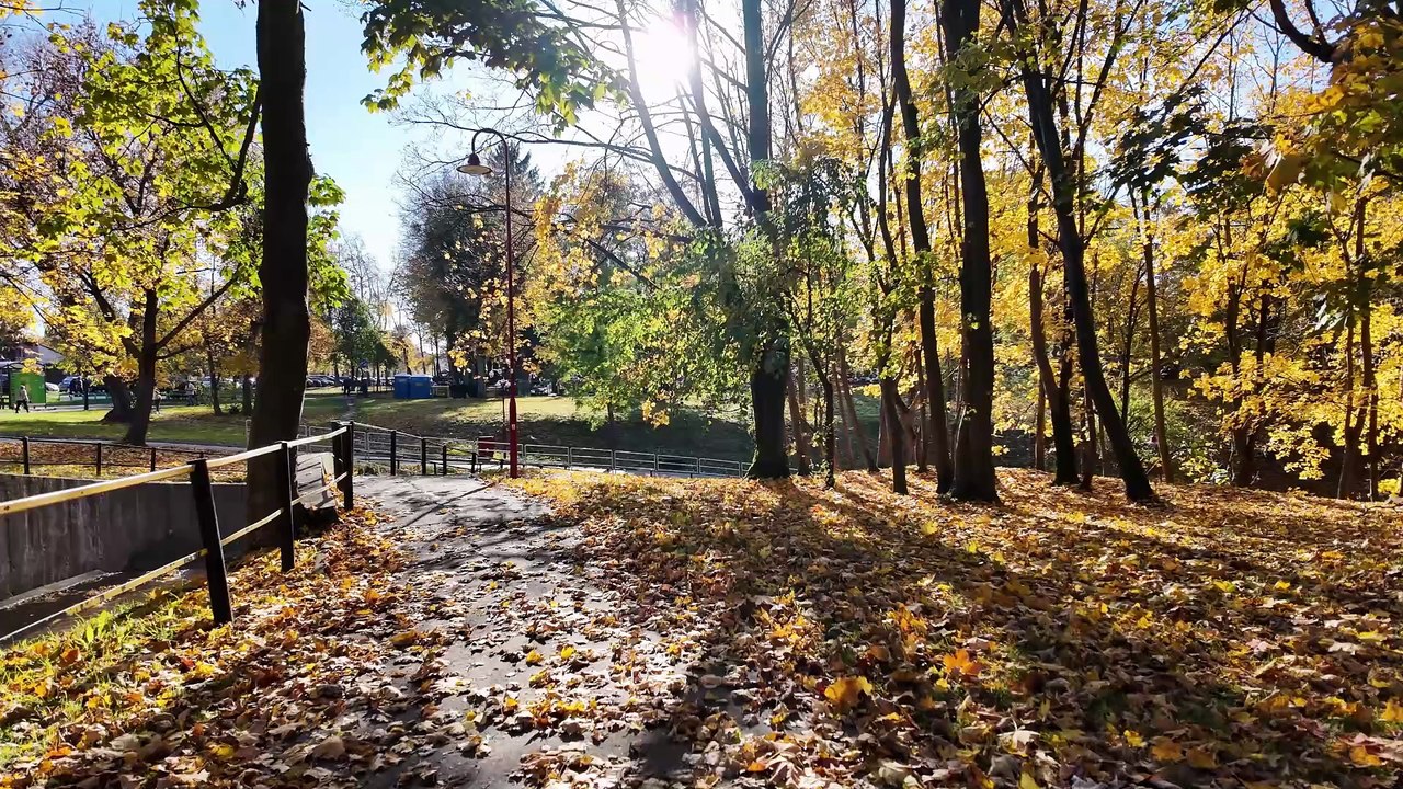Elbląg Jesienią