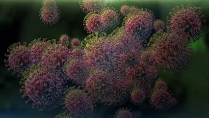 Le Royaume-Uni détecte le premier cas de nouvelle grippe porcine