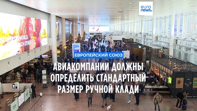 От авиакомпаний требуют определить стандартный размер ручной клади