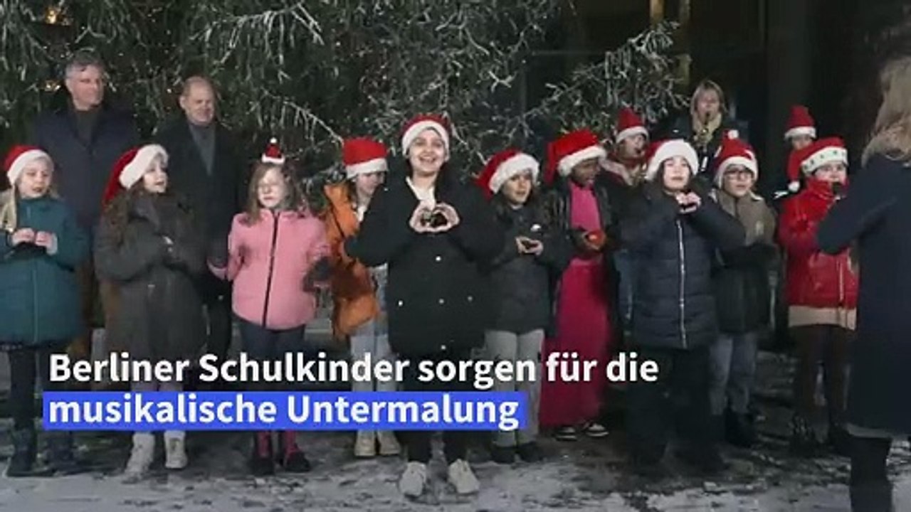 "Kanzlertanne": Scholz bekommt Weihnachtsbaum