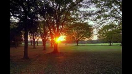 SUNSET PARK(BMI)-JOSEPH ALAN FEARS(JAFF RECORDS USA) - Made with Clipchamp