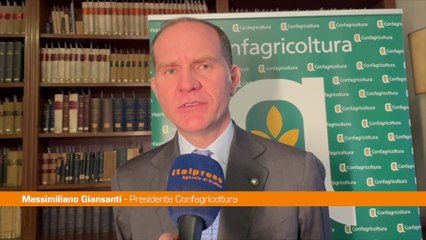 Giansanti "Il comparto dell'olio è strategico per l'Italia"
