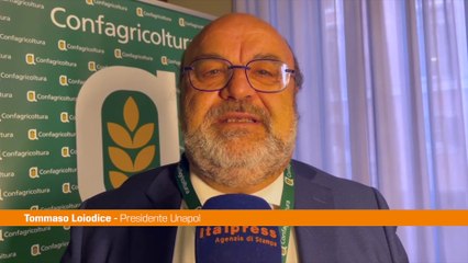 Loiodice "L'olio ha un valore sociale e non solo economico"