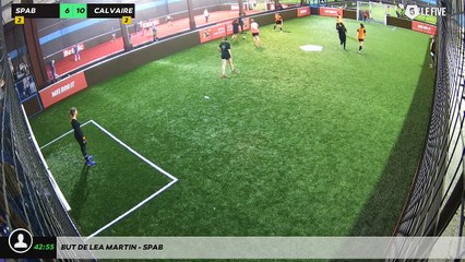 But de Lea MARTIN - SPAB