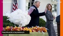 Melania Trump suscite l'indignation : sa tenue aux obsèques d'une First Lady ne passe pas