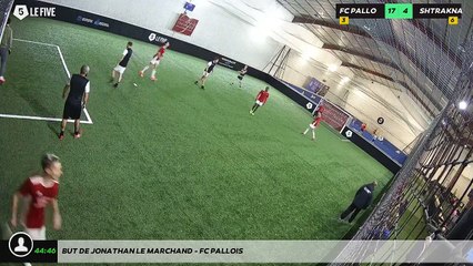 But de Jonathan LE MARCHAND - FC PALLOIS
