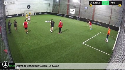 Faute de MERCIER BENJAMIN - LA GAULE