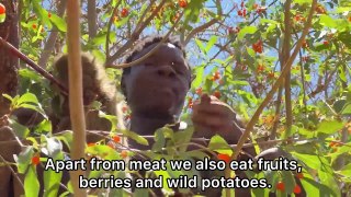 See How Hadzabe Catch and Eat A Lot of Monkeys _ hunter's documentary