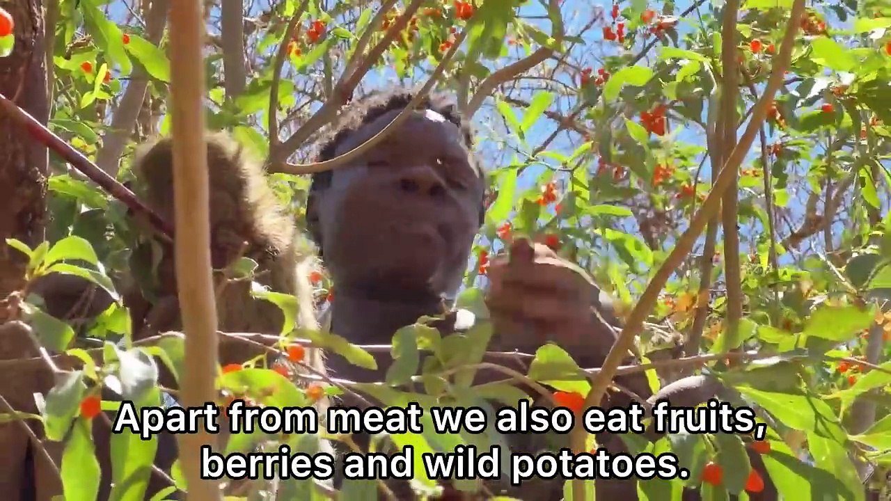See How Hadzabe Catch and Eat A Lot of Monkeys _ hunter's documentary