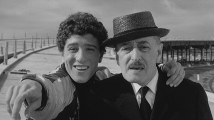 Des oiseaux petits et grands