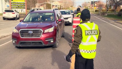 29 nov TOPO LPM violence femme