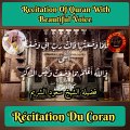 Recitation Of Quran with Text...! Récitation Du Coran...! #surah #surat #tilawat #tilawah #viralvideo