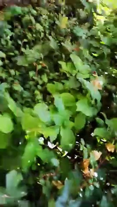 20190716 Outdoor, wo willst du hin