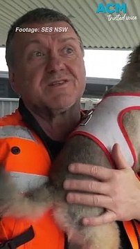 SES attend hundreds of rescues after torrential rain leaves residents submerged