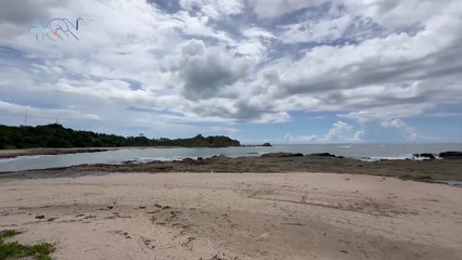 mqn– Los Guardianes de la naturaleza en Nosara.–291123