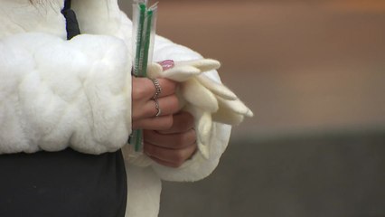 [날씨] 추위 절정, 서울 -7.3℃...내일까지 서해안 많은 눈 / YTN