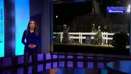 Se cayó el árbol de navidad de la Casa Blanca