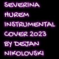 Dejan Nikolovski - Severina - Hurem Instrumental Cover (2023)