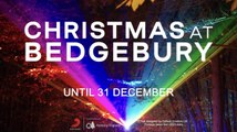 Christmas At Bedgebury 2023 is a magical and unmissable new illuminated trail