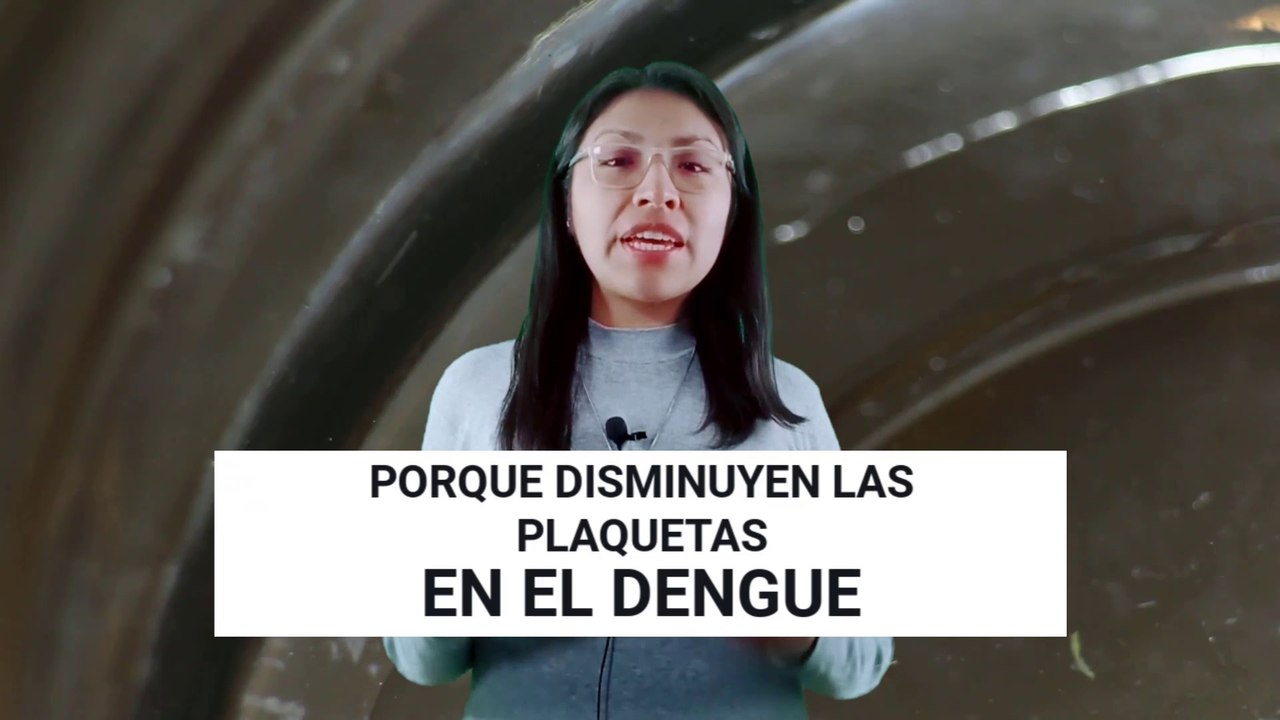 ▷ DENGUE vs. PLAQUETAS: PORQUE SE DESPLOMAN? | Dra. Mary Uscamayta