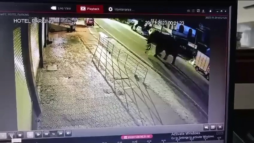 நானும் ரௌடி தான்; சாலையின் ஓரமாக இருந்த இரும்பு கம்பியை உடைத்து காட்டு யானை அட்ராசிட்டி